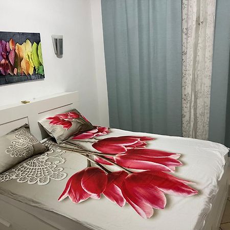 Viking Republic Apartment Kemer Exterior photo